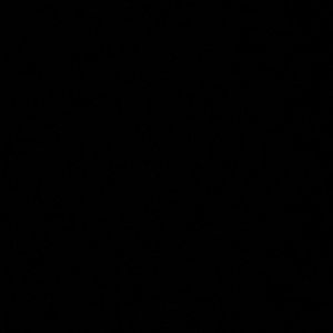 Meet your Posher, Ava